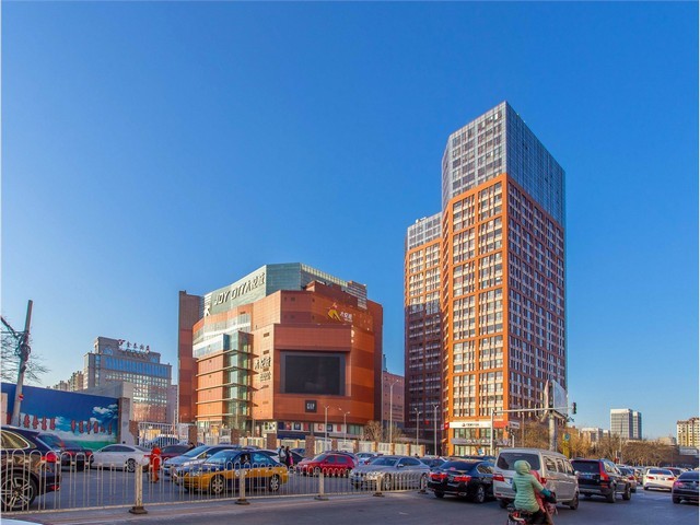 观赏咖啡红龙养殖方法